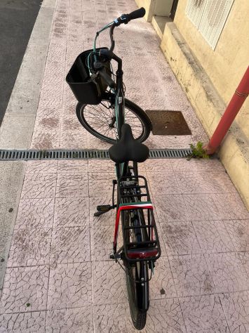BICI ELETTRICA ZERO IMPACT - ARMONY FIRENZE - Foto 5
