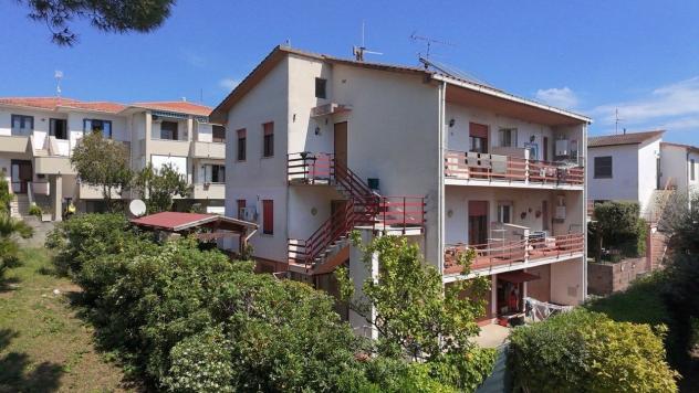 Appartamento in vendita a Rosignano Marittimo