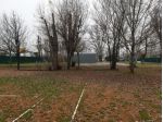 Attività / Licenza di 23000 m² in vendita a Modena