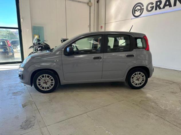 FIAT Panda 1.0 FireFly S&S Hybrid Easy rif. 23234213 - Foto 3