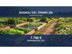 Immobile in asta di 10611 m² in vendita a Bagnoli del Trigno