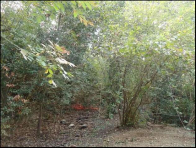 Immobile in asta di 22921 m² in vendita a Varazze - Foto 2