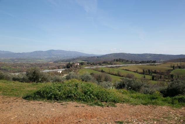 Seminativo in vendita a Civitella Paganico