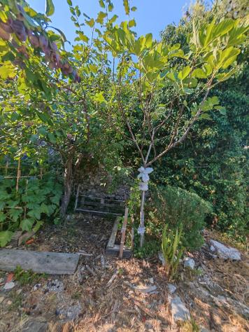 Rustico in vendita a Marciaso - Fosdinovo 105 mq Rif: 1448879 - Foto 5