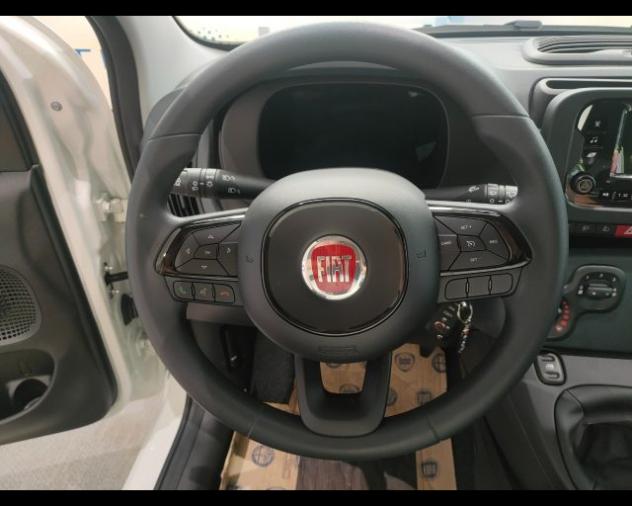 FIAT Panda 1.0 firefly hybrid Icon s&s 70cv 5p.ti rif. 23778993 - Foto 10