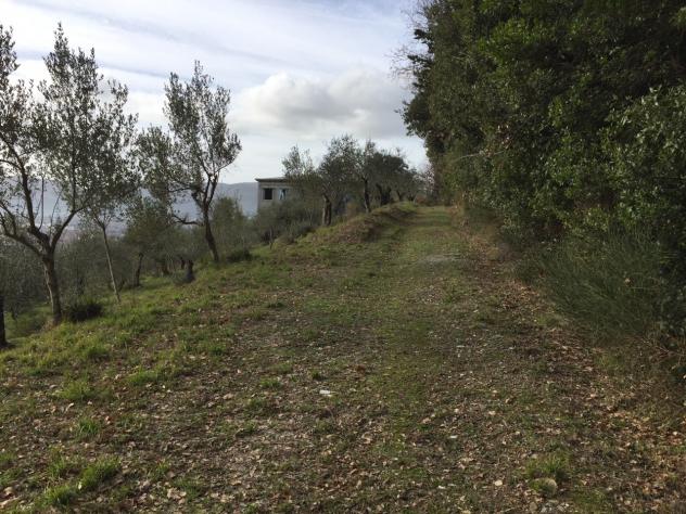 Villa in vendita a Castelnuovo Magra - Foto 7