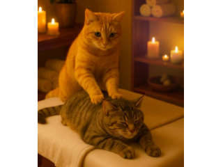 Massaggi - benessere Pesaro - Massaggi Tel:3520424033