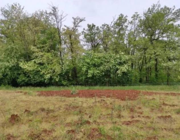 Immobile in asta di 4240 m² in vendita a Correzzana - Foto 2
