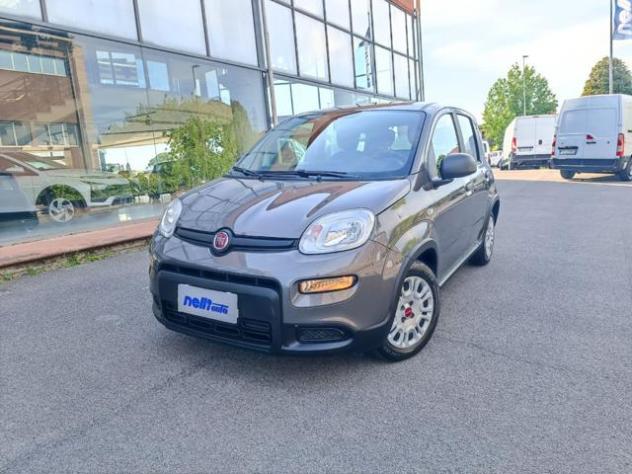 FIAT Panda 1.0 FireFly S&S Hybrid rif. 23911198