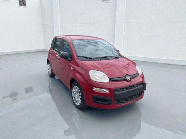 FIAT Pandina 1.0 FireFly 65cv S&S 6m Hybrid Pop - Foto 4