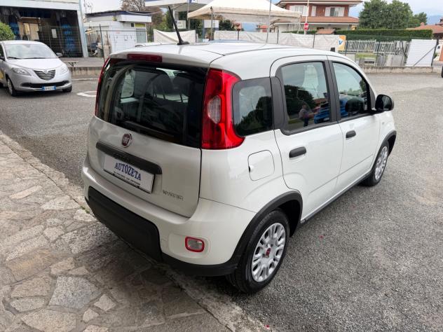 Fiat Panda 1.0 Hybrid - Foto 6