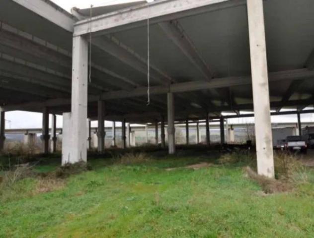 Immobile in asta di 12206 m² in vendita a Castel Viscardo - Foto 11