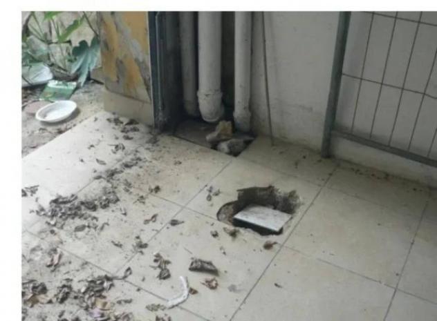 Immobile in asta di 139 m² con più di 5 locali e box auto in vendita a Montegabbione - Foto 8