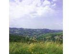 Castelfranco Hotel di Cosi & C. S.n.c.
