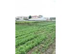 Agricolo in Traversa Schito