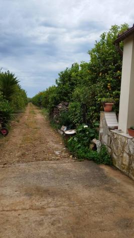 Terreno in vendita a Noto, San Lorenzo - Foto 2