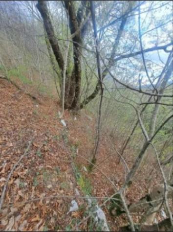 Immobile in asta di 2377 m² in vendita a Rovereto - Foto 4