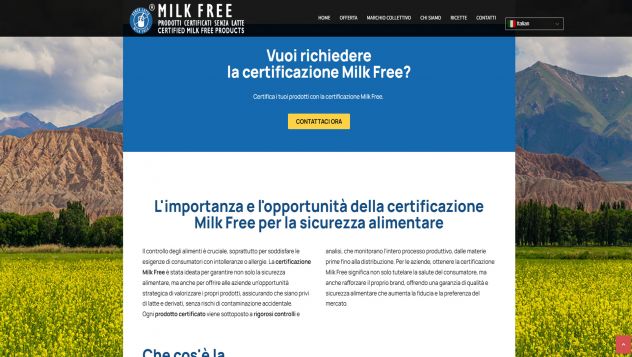Web Designer - Siti web + SEO - Foto 3