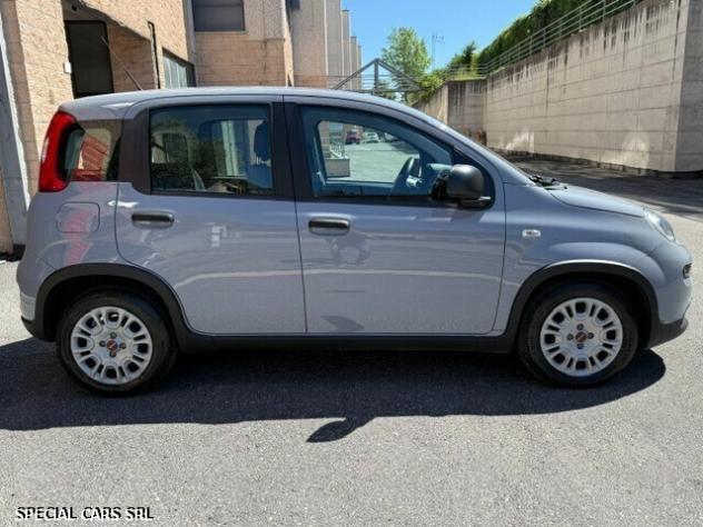 Fiat Panda 1.0 Hybrid - Foto 4