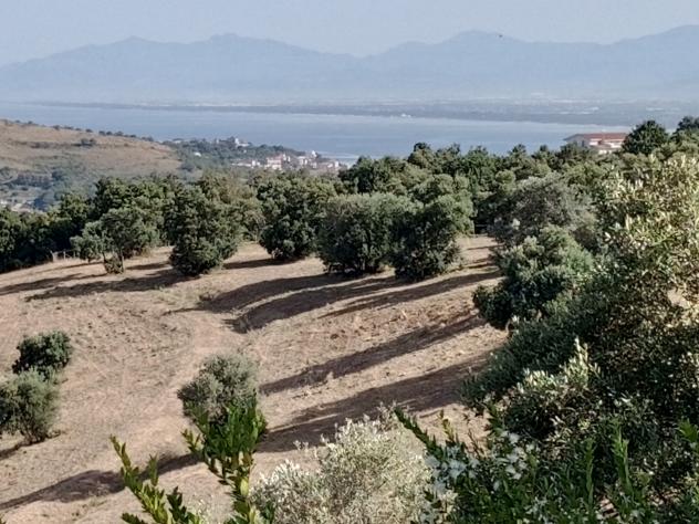 Agricolo in Via Sorrento