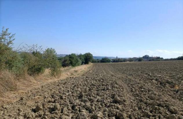 Immobile in asta di 15707 m² in vendita a Mondolfo - Foto 3