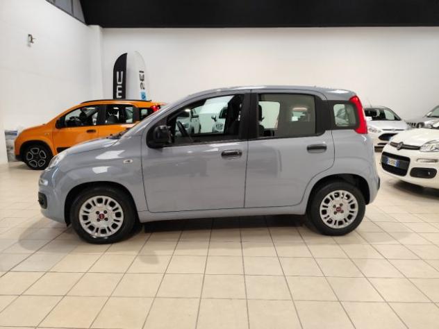 FIAT Panda 1.0 FireFly S&S Hybrid rif. 21813189 - Foto 10