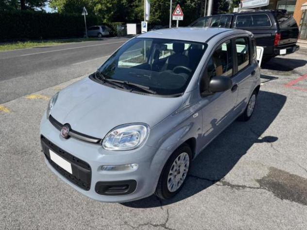 FIAT Panda III 1.0 FireFly 70Cv S&S Hybrid Easy rif. 23724090 - Foto 2