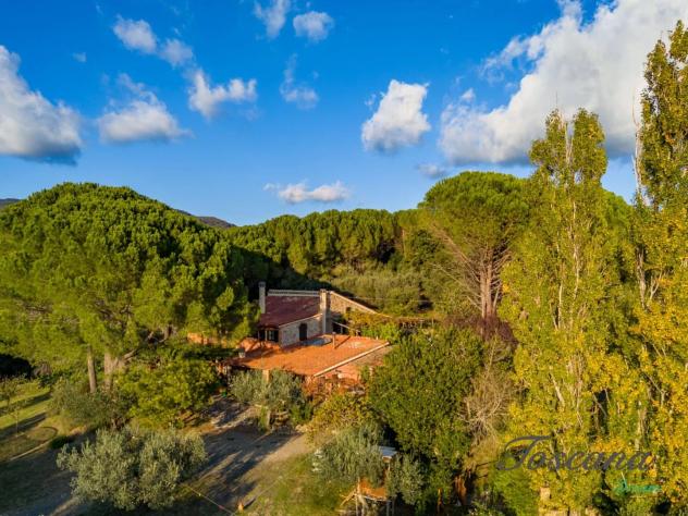 Casale in vendita a Roccatederighi - Roccastrada 390 mq Rif: 1424454 - Foto 7