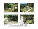 IMMOBILI-IMMOBILE RESIDENZIALE-LOCALITA' SANT'ANGELO
