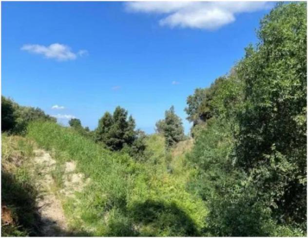 Immobile in asta di 62700 m² in vendita a Galatro - Foto 10