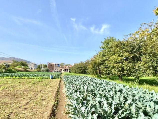 Casa di campagna in Via Sabato Lanzara - Foto 3