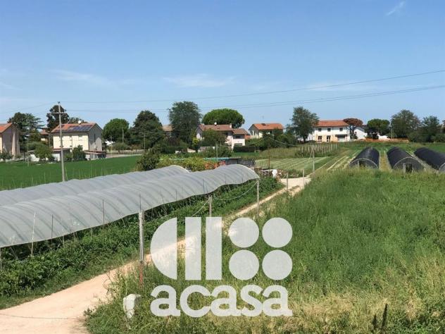 TERRENO AGRICOLO CON POZZO ARTESIANO