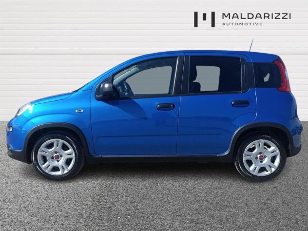 FIAT Panda III 2021 1.0 firefly hybrid s&s 70cv - Foto 5