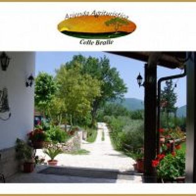 Agriturismo Colle Bralle - Foto 4