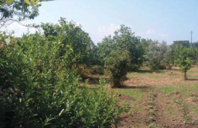 Immobile in asta di 10 m² in vendita a Lamezia Terme - Foto 2