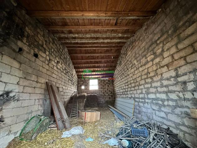 Rif. 9928 - Terreno Agricolo con Fabbricati - Foto 4
