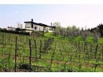 Villa in vendita a La Rotta - Pontedera 300 mq  Rif: 1326314