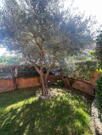 Villetta a schiera angolare in vendita a Montecalvoli Basso - Santa Maria a Monte 198 mq Rif: 1448165 - Foto 3