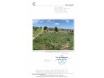 ALTRO-ALTRA CATEGORIA-Contrada Case di caccia, 95040 Mazzarrone CT, Italia