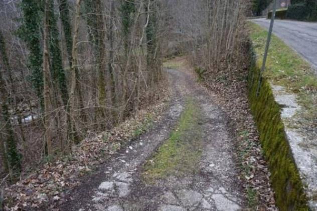 Immobile in asta di 6196 m² in vendita a Valli del Pasubio - Foto 3