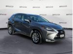 LEXUS NX 1ª serie NX Hybrid 4WD Executive