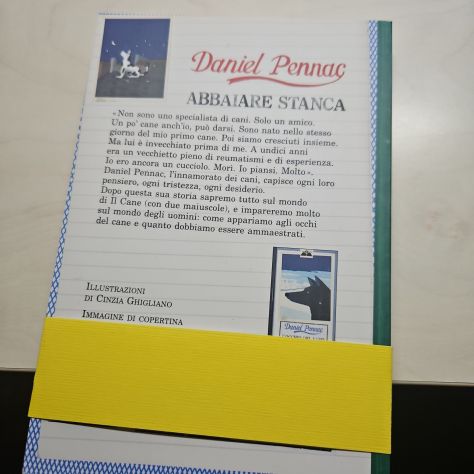 ABBAIARE STANCA - Foto 2