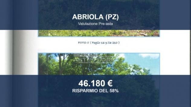 Immobile in asta di 156406 m² in vendita a Abriola