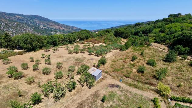 Agricolo in Contrada Vignale - Foto 3
