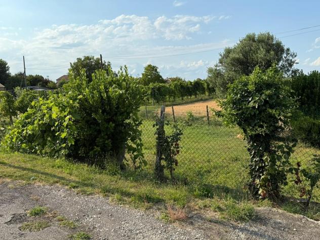 Singola in vendita a Villamarzana - Foto 10