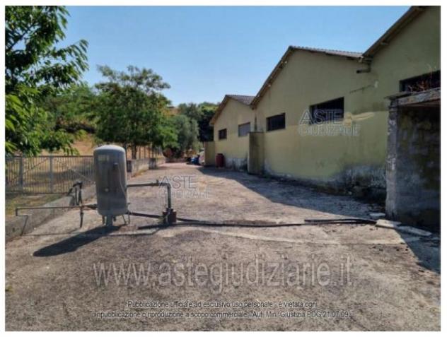 IMMOBILI-IMMOBILE COMMERCIALE-Via Madonna delle Grazie, 31, 04015 Pruneto LT, Italia - Foto 4