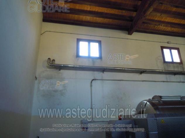IMMOBILI-IMMOBILE INDUSTRIALE-Contrada S. Vito, 91020 Salaparuta TP, Italia - Foto 6