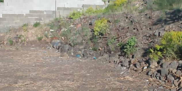 Terreno in vendita a Nicolosi - Foto 8