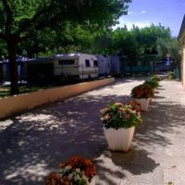 Camping Domus - Foto 4