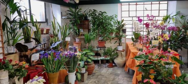 Negozio in vendita a Carrara 90 mq Rif: 1127511